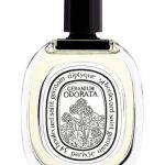 عطر ادکلن ژرانیوم اودوراتا دیپتیک - Geranium Odorata Diptyque - بررسی، قیمت و خرید