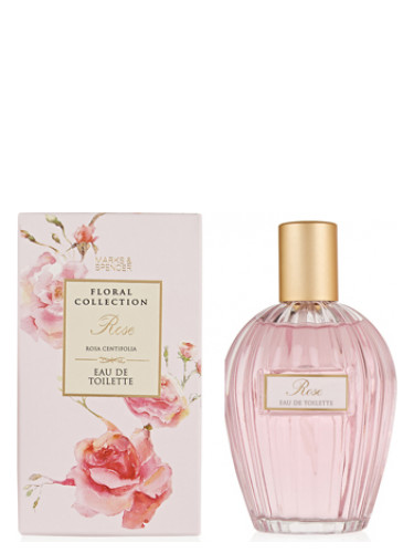 عطر ادکلن رُز مارکس اند اسپنسر - Rose Marks & Spencer - بررسی، قیمت و خرید