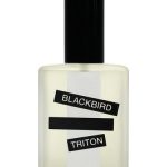 عطر ادکلن تریتون بِلَک‌بِرد - Triton Blackbird - بررسی، قیمت و خرید