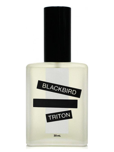 عطر ادکلن تریتون بِلَک‌بِرد - Triton Blackbird - بررسی، قیمت و خرید