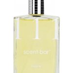 عطر ادکلن صد و یازده سنت بار - 111 ScentBar - بررسی، قیمت و خرید