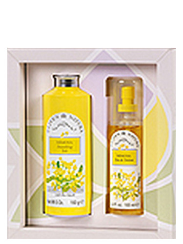عطر ادکلن میموسا کلایوِن - Mimosa Cliven - بررسی، قیمت و خرید