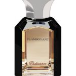 عطر ادکلن اندورنس فلامبویانت - Endurance Flamboyant - بررسی، قیمت و خرید