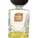 عطر ادکلن وازدوخ آسن سیورنو سییانیه - Воздух Осени (Air of Autumn) Северное сияние - بررسی، قیمت و خرید