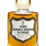 عطر ادکلن آکوا میرابیل اودوروسا دی فلورنسه نامبر وان آی پروفومی دی فلورانس - Acqua Mirabile Odorosa di Firenze No. 1 I Profumi di Firenze - بررسی، قیمت و خرید