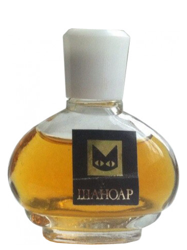 عطر ادکلن چت نوآر آلن مک - Chat Noir Alen Mak - بررسی، قیمت و خرید