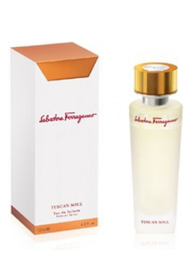 عطر ادکلن توسکان سول سالواتوره فراگامو - Tuscan Soul Salvatore Ferragamo - بررسی، قیمت و خرید