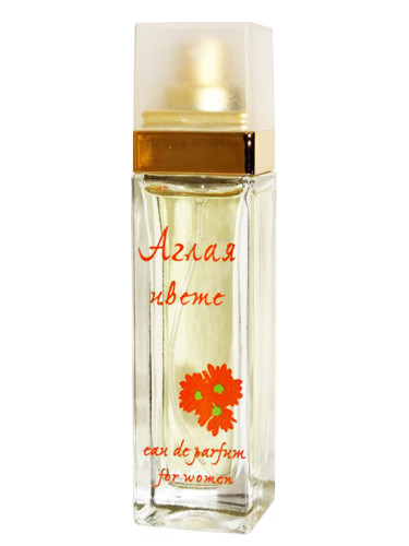 عطر ادکلن آگلایا کِوِته اورتِرپا - Aglaya Cvete Evterpa - بررسی، قیمت و خرید