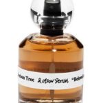 عطر ادکلن بون‌بون تری اند آدر استوریز - Bonbon Tree And Other Stories - بررسی، قیمت و خرید