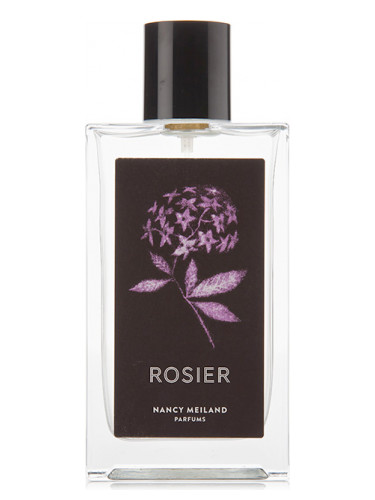 عطر ادکلن روزیه نانسی میلاند پارفومز - Rosier Nancy Meiland Parfums - بررسی، قیمت و خرید
