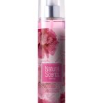 عطر ادکلن پیونی دریمِر نتچورال سنتس - Peony Dreamer Natural Scents - بررسی، قیمت و خرید