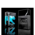 عطر ادکلن کول اینستینکت اِرنِس - Cool Instinct Airness - بررسی، قیمت و خرید
