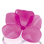 عطر ادکلن وری فلاور ارکیدیا پوپا - Very Flower Orchidea Pupa - بررسی، قیمت و خرید