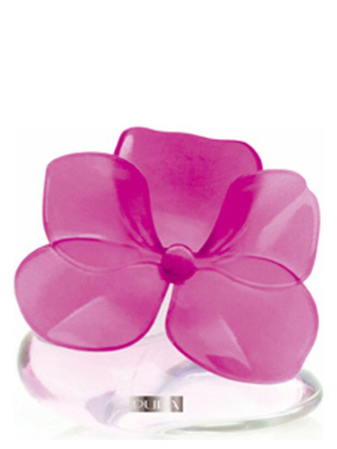 عطر ادکلن وری فلاور ارکیدیا پوپا - Very Flower Orchidea Pupa - بررسی، قیمت و خرید