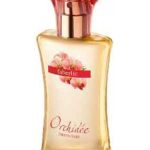 عطر ادکلن اورانژری ارکیده فابرلیک - Orangerie Orchidee Faberlic - بررسی، قیمت و خرید