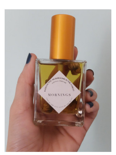 عطر ادکلن مورنینگز رادیواکتیو ماشرومز این د فورست - Mornings Radioactive Mushrooms in the Forest - بررسی، قیمت و خرید