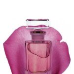 عطر ادکلن رز عطار آودا - Rose Attar Aveda - بررسی، قیمت و خرید