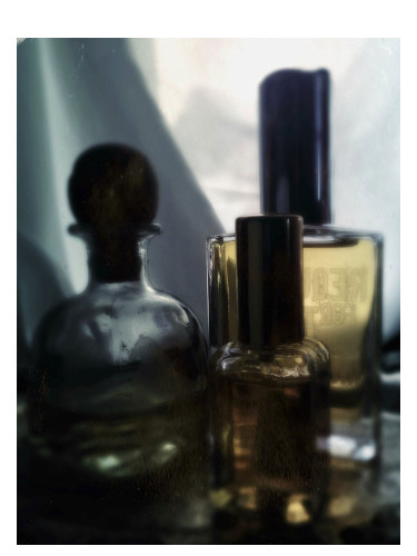 عطر ادکلن هزار یيرز افتر آی ام گان سنت بای الکسیس - 1000 Years After I Am Gone Scent by Alexis - بررسی، قیمت و خرید