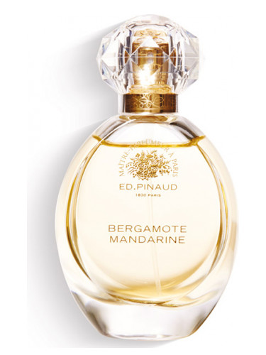 عطر ادکلن برگاموت ماندارین اد پینود - Bergamote Mandarine Ed Pinaud - بررسی، قیمت و خرید