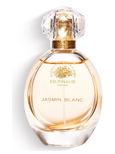 عطر ادکلن جاسمین بلانک اد پینود - Jasmin Blanc Ed Pinaud - بررسی، قیمت و خرید