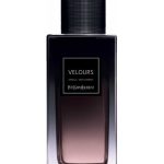 عطر ادکلن ولو ایو سن لوران - Velours Yves Saint Laurent - بررسی، قیمت و خرید