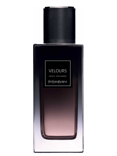عطر ادکلن ولو ایو سن لوران - Velours Yves Saint Laurent - بررسی، قیمت و خرید