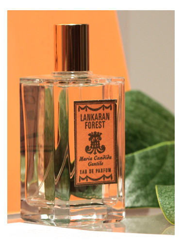 عطر ادکلن لانکاران فورست ماریا کندیدا جنتیله - Lankaran Forest Maria Candida Gentile - بررسی، قیمت و خرید