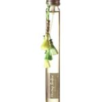 عطر ادکلن د جازمین اریتاژ بربر - The Jasmin Héritage Berbère - بررسی، قیمت و خرید