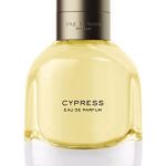 عطر ادکلن سایپرس رگ اند بون - Cypress Rag & Bone - بررسی، قیمت و خرید