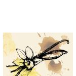 عطر ادکلن نو تری آلن شو - No. 3 Allen Shaw - بررسی، قیمت و خرید