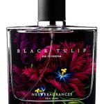 عطر ادکلن بلک تیولپ نست - Black Tulip Nest - بررسی، قیمت و خرید
