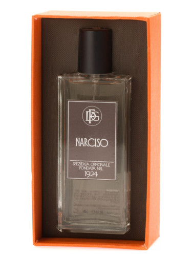 عطر ادکلن نرسیسو دی‌اف‌جی هزار و نهصد و بیست و چهار - Narciso DFG1924 - بررسی، قیمت و خرید