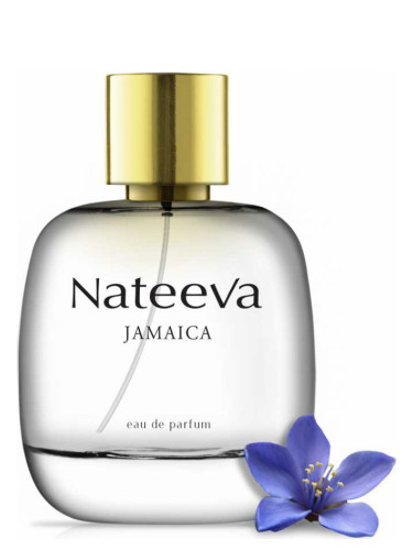 عطر ادکلن جامایکا ناتیوا - Jamaica Nateeva - بررسی، قیمت و خرید