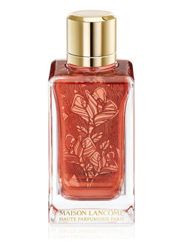 عطر ادکلن رز بربرانزا لانکوم - Rôses Berberanza Lancôme - بررسی، قیمت و خرید