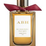 عطر ادکلن امبر هیث بربری - Amber Heath Burberry - بررسی، قیمت و خرید