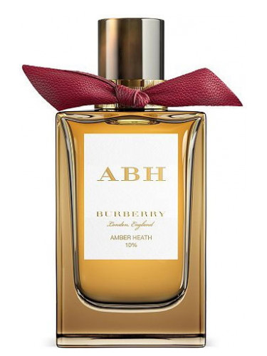 عطر ادکلن امبر هیث بربری - Amber Heath Burberry - بررسی، قیمت و خرید