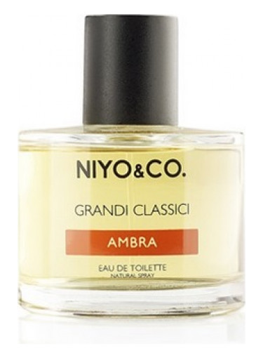 عطر ادکلن آمبره نِیو کو - Ambra NIYO&CO - بررسی، قیمت و خرید