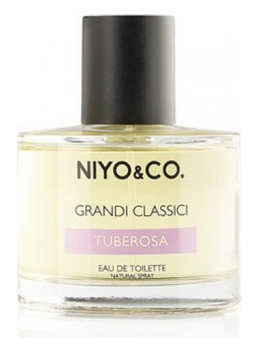 عطر ادکلن تیوبرُزا نیو اند کو - Tuberosa NIYO&CO - بررسی، قیمت و خرید