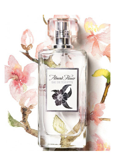 عطر ادکلن آلموند فلاور نینل پرفیوم - Almond Flower Ninel Perfume - بررسی، قیمت و خرید