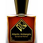 عطر ادکلن آتلانتیک امبرگریس اَریج لِ دوره - Atlantic Ambergris Areej Le Doré - بررسی، قیمت و خرید