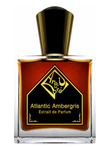 عطر ادکلن آتلانتیک امبرگریس اَریج لِ دوره - Atlantic Ambergris Areej Le Doré - بررسی، قیمت و خرید