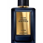 عطر ادکلن میراژس دزرت سرناد پرادا - Mirages Desert Serenade Prada - بررسی، قیمت و خرید