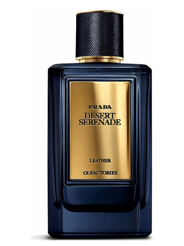 عطر ادکلن میراژس دزرت سرناد پرادا - Mirages Desert Serenade Prada - بررسی، قیمت و خرید