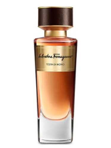 عطر ادکلن تستا دی مورو سالواتوره فراگامو - Testa di Moro Salvatore Ferragamo - بررسی، قیمت و خرید