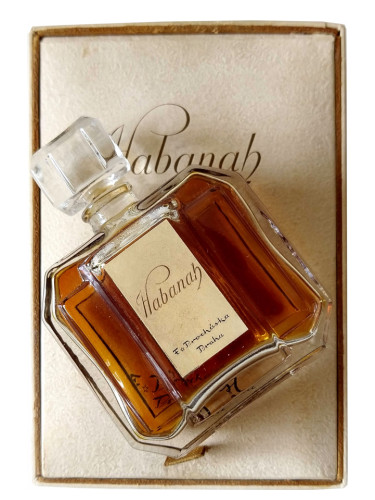 عطر ادکلن حابانا ف پروچاسکا - Habanah F.Prochaska - بررسی، قیمت و خرید