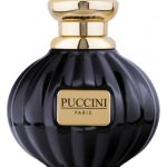 عطر ادکلن پوچینی بلک پرل پوچینی پاریس - Puccini Black Pearl Puccini Paris - بررسی، قیمت و خرید