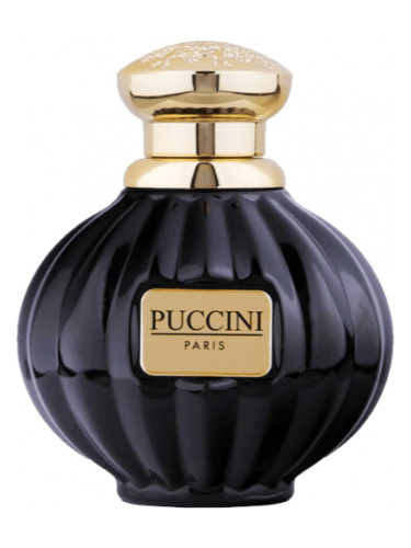 عطر ادکلن پوچینی بلک پرل پوچینی پاریس - Puccini Black Pearl Puccini Paris - بررسی، قیمت و خرید