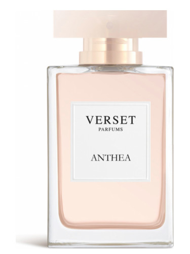عطر ادکلن انتیا ورسه پارفومز - Anthea Verset Parfums - بررسی، قیمت و خرید