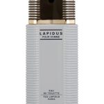 عطر ادکلن لپیدوس پور هوم تد لاپیدوس - Lapidus Pour Homme Ted Lapidus - بررسی، قیمت و خرید
