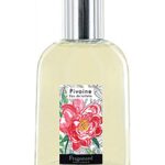 عطر ادکلن پیون فراگونار - Pivoine Fragonard - بررسی، قیمت و خرید